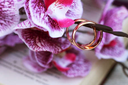 bouquet of pink flowers, wedding rings and a book so closeの写真素材