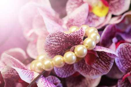 Orchid flower with a pearl necklace.Gift.の写真素材
