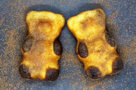 Two biscuit in the form of a bear, black background
