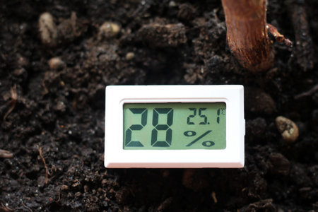 A device for measuring humidity and temperature and a plant so close