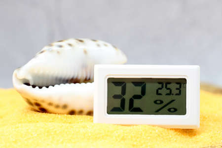 Thermometer and seashells on sand so closeの写真素材