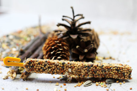 A treat for parrots, birds and a pine cone.