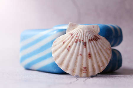 Blue and white seashells on a gray background close-upの写真素材