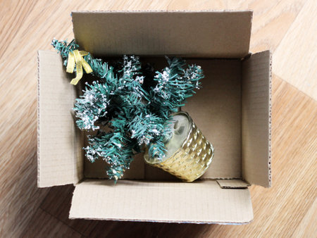 Christmas small tree in a cardboard box, package