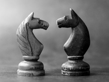 Two pieces horses chess, black background