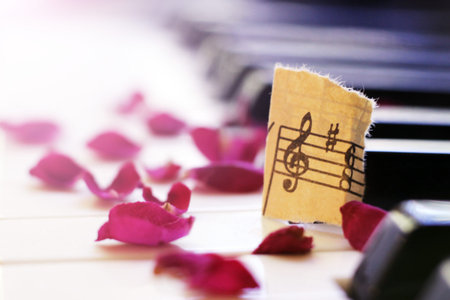 Musical symbol and rose petals on the pianoの写真素材
