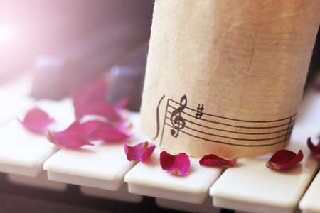 Musical symbol and rose petals on the pianoの写真素材