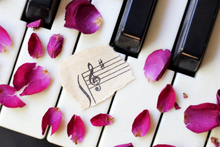 Musical symbol and rose petals on the piano
