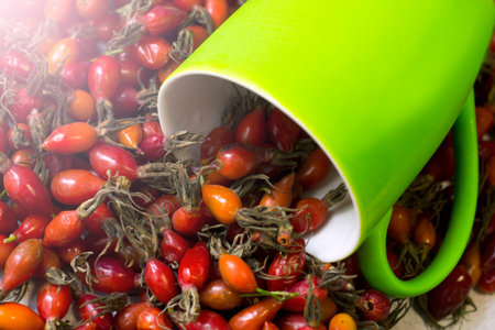 Ripe rosehip in a green cup is very closeの写真素材