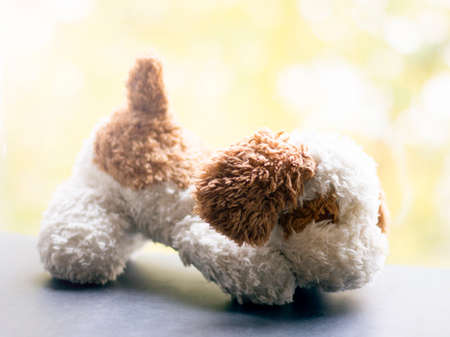 Toy soft dog on the window, autumn landscape backgroundの写真素材