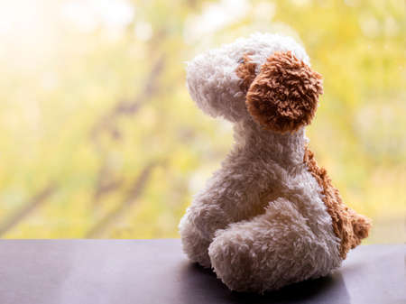 Toy soft dog on the window, autumn landscape backgroundの写真素材