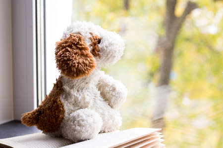 Toy soft dog on the window, autumn landscape backgroundの写真素材