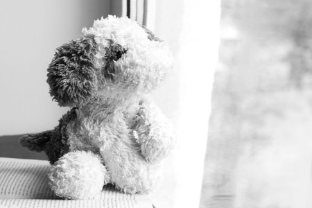 Lonely dog toy on the window, sad imageの写真素材