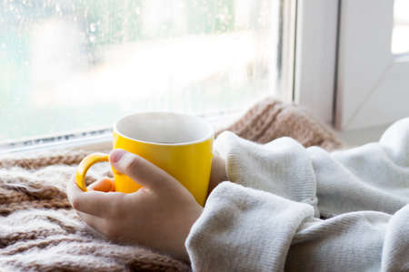 Yellow mug in children's hands so closeの写真素材