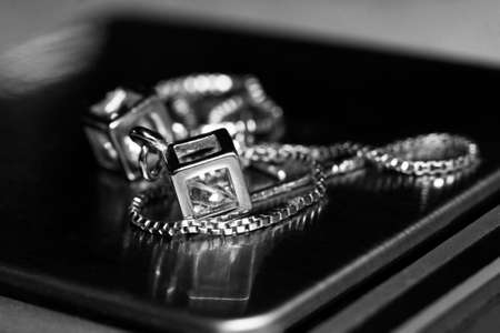 Silver earring with a diamond on the scaleの写真素材