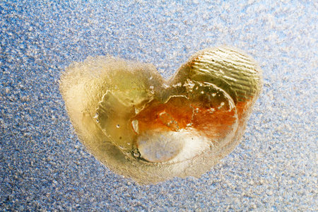Heart-shaped ice cube on a frozen window. Winter background.の写真素材