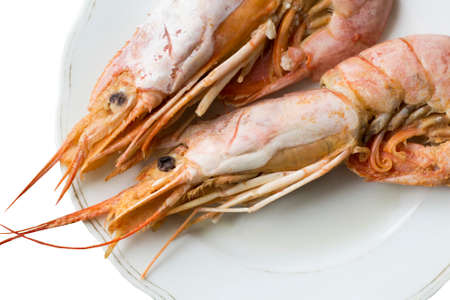 Fresh langoustines, seafood delicacyの写真素材