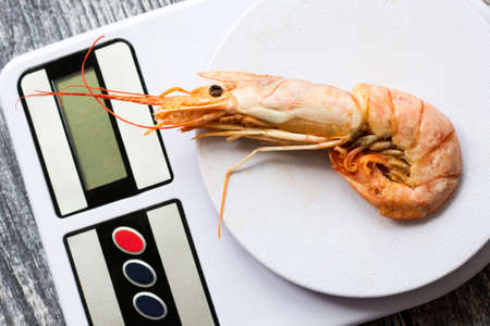 Fresh langoustines, seafood delicacy on kitchen scalesの写真素材