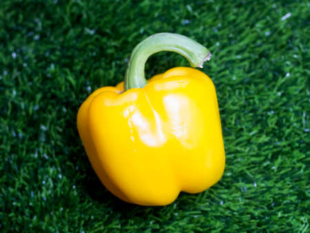 yellow bell pepper on green grass background, closeup, selective focusの写真素材