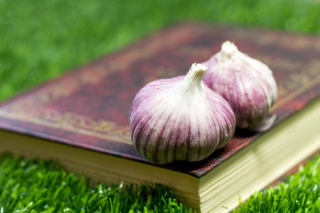 Garlic on the grass in the garden
