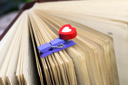 Wooden small Clothespin and book, fashionable bookmarkの写真素材