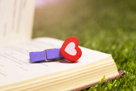 Wooden small Clothespin and book, fashionable bookmarkの写真素材