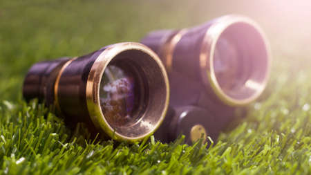Small retro theatrical binoculars on a grass backgroundの写真素材