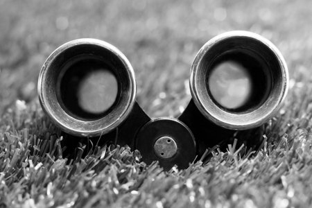 Retro theatrical binoculars on the grass in the parkの写真素材