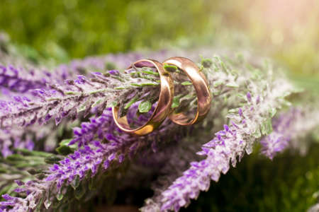 Wedding rings on lavender flowers. Close-up.の写真素材
