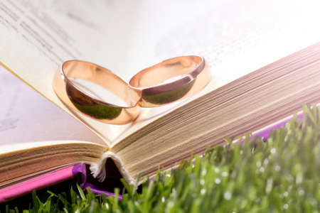 An open book on a green grass.の写真素材
