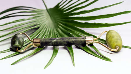 Jade roller massager and palm branchの写真素材