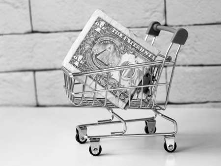 Shopping cart with dollar banknotes on a white background. Black and white photo.の写真素材