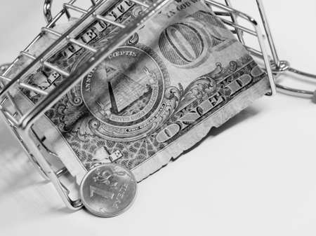 Dollars in a shopping cart. Black and white photo.の写真素材