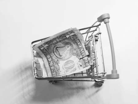 Dollar bill in the shopping basket, financial conceptの写真素材