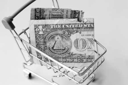 Dollar bill in the shopping basket, financial conceptの写真素材