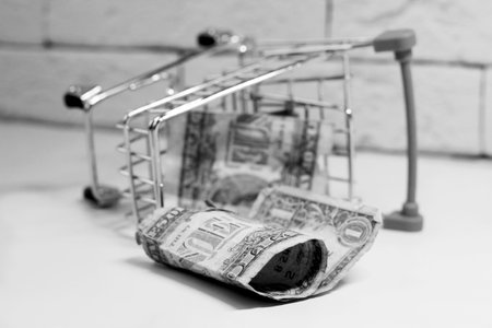 Dollar bill in the shopping basket, financial conceptの写真素材