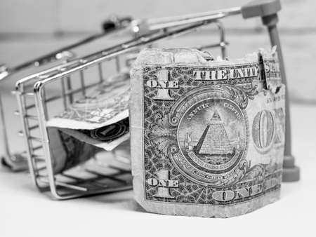 Dollar bill in the shopping basket, financial conceptの写真素材