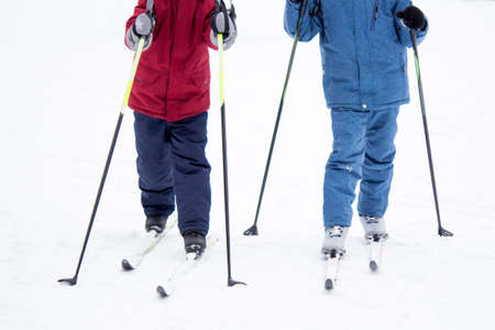 Little boys skiing with sticks, children's sportsの写真素材