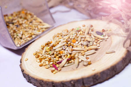 Seeds, food for birds in natureの写真素材