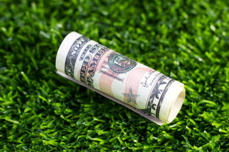 A rolled dollar on the grassの写真素材