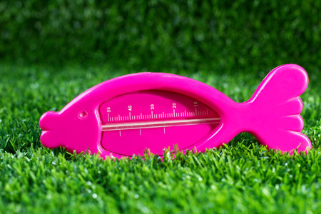 Pink weather thermometer on the grass