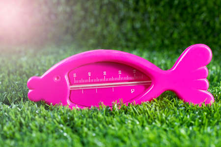 Pink thermometer on green grass background with copy space for text.の写真素材