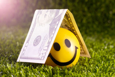 A cheerful yellow ball with a smile and a dollar bill on the grass, positiveの写真素材