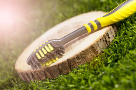 Toothbrush on a wooden saw, grass backgroundの写真素材