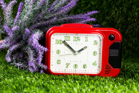 Red alarm clock on the grassの写真素材