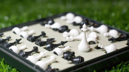Mini chess on the grassの写真素材
