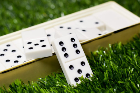Dominoes on the grass, an intellectual game in nature