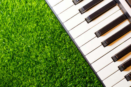 Piano keys on green grass background, top view, copy spaceの写真素材
