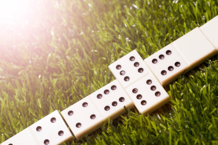 Dominoes on the grass, an intellectual game in natureの写真素材