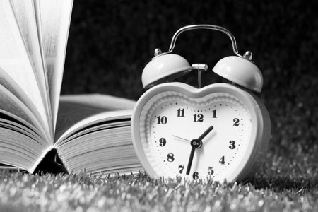Alarm clock and book on green grass. Black and white tone.の写真素材